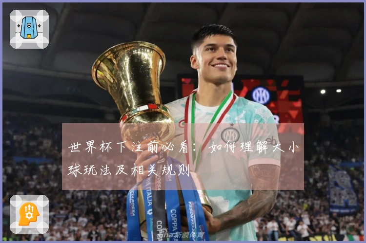 世界杯下注前必看：如何理解大小球玩法及相关规则
