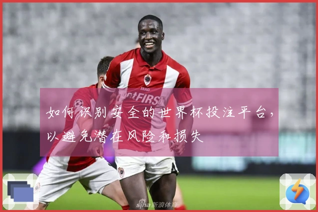 如何识别安全的世界杯投注平台，以避免潜在风险和损失