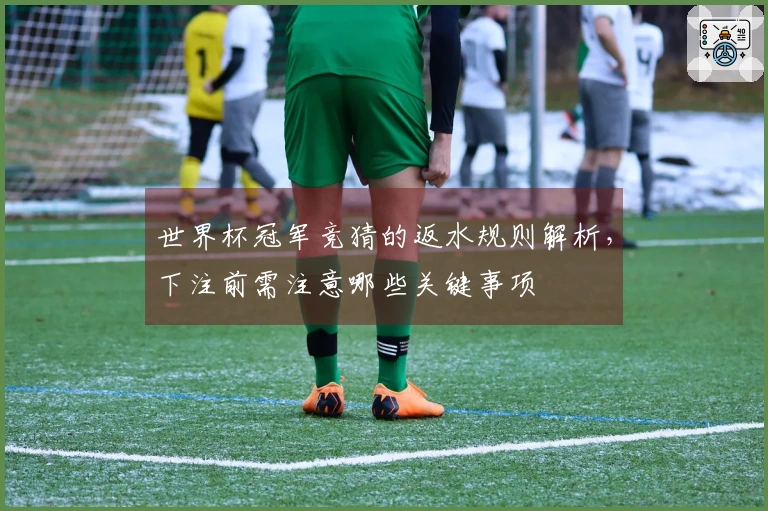 世界杯冠军竞猜的返水规则解析，下注前需注意哪些关键事项