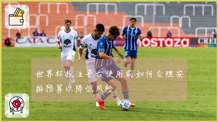 世界杯投注平台使用前如何合理安排预算以降低风险