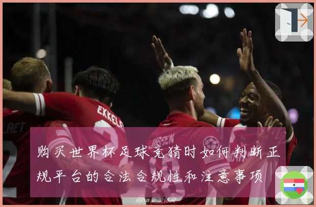 购买世界杯足球竞猜时如何判断正规平台的合法合规性和注意事项