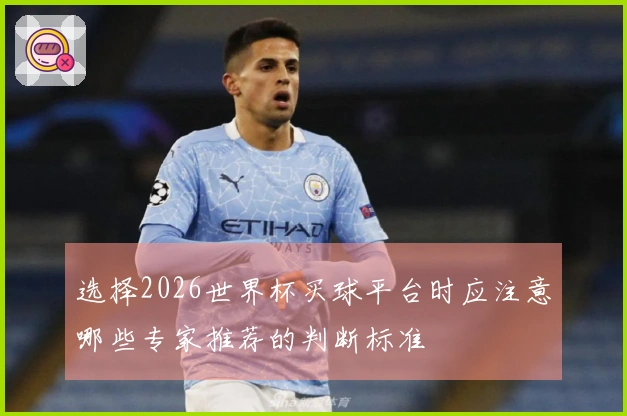 选择2026世界杯买球平台时应注意哪些专家推荐的判断标准